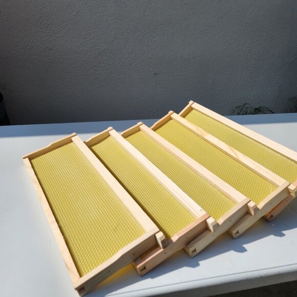 Beekeeping Equipment 5 Medium Frames + 5 Wax Foundation ASSEMBLED For Super Boxe - Picture 7 of 12